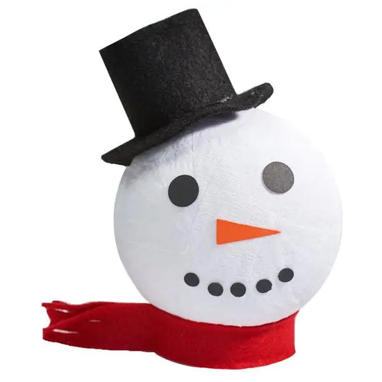 Snowball Surprise Ball