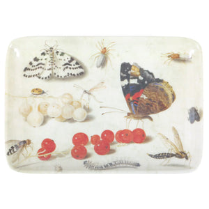 Specimen Valet Tray