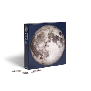 The Moon Puzzle