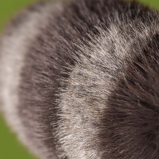Trixiwoo Raccoon Jellycat
