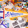 Washington DC Pennant