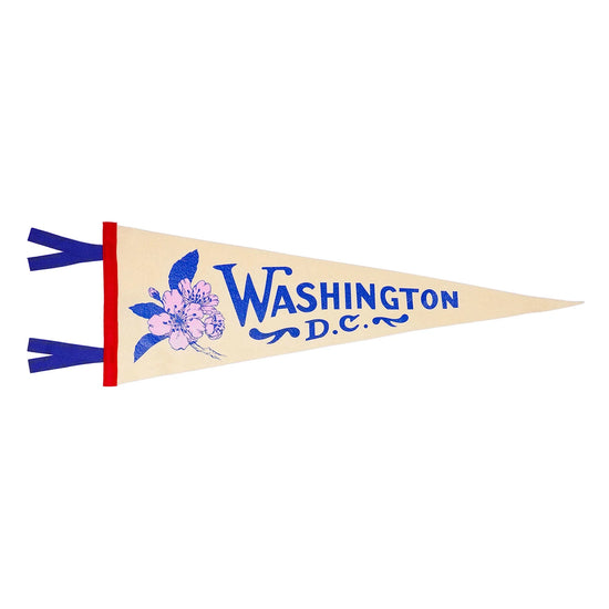 Washington DC Pennant