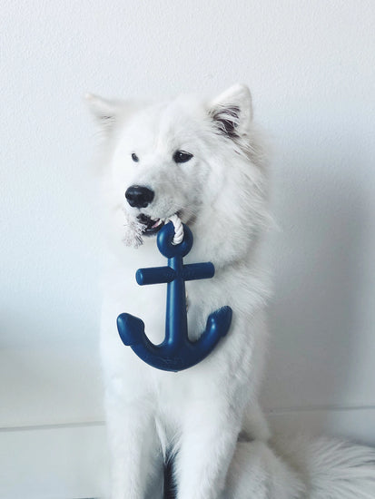 Anchor Dog Toy