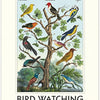 2026 Bird Watching Wall Calendar