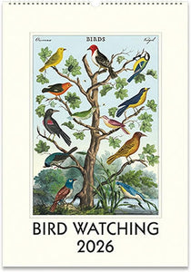 2026 Bird Watching Wall Calendar