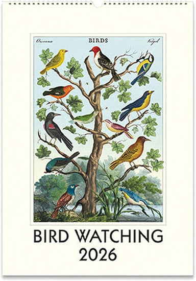 2026 Bird Watching Wall Calendar