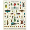 Bug & Insects Puzzle