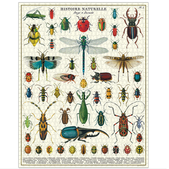 Bug & Insects Puzzle