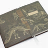 Paleontology Notebook