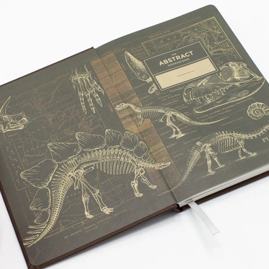 Paleontology Notebook