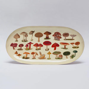Fungi Tray