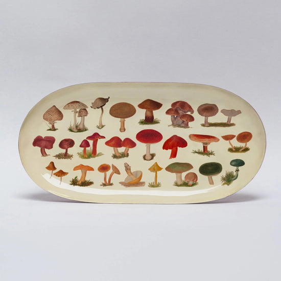 Fungi Tray