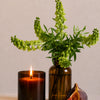 Garden Stories Candle, The Quiet Botanist