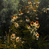 Garden Stories Candle, The Quiet Botanist