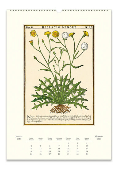 2026 Herbarium Wall Calendar