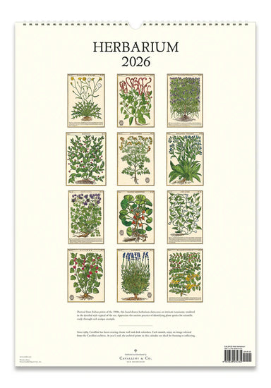 2026 Herbarium Wall Calendar