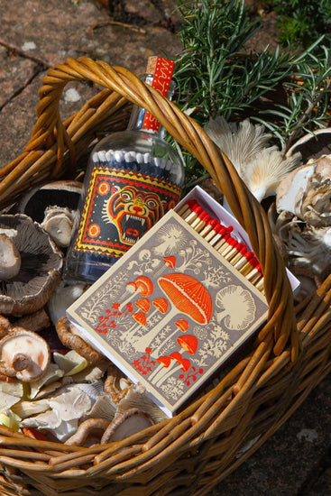 Mushrooms Matchbox