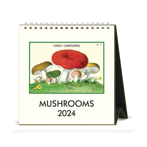 2024 Mushroom Desk Calendar