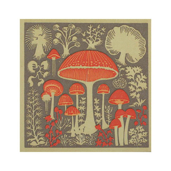 Mushrooms Matchbox