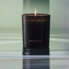 Orchard Sun Candle, The Quiet Botanist