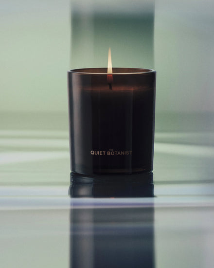 Orchard Sun Candle, The Quiet Botanist