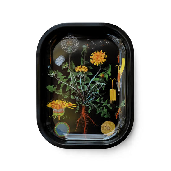 Botanical Dandelion Metal Tray