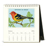 2026 Birds Desk Calendar