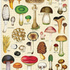 Mushroom Puzzle