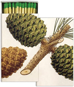 Pinecones Matches