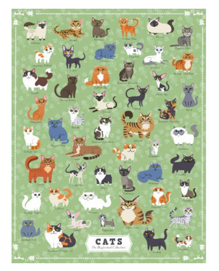 Cats Puzzle