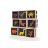 Dinosaur Blocks