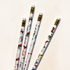 Mr. Boddington's Studio Pencils