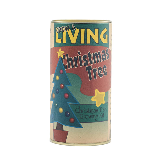 Living Christmas Tree Seed Kit