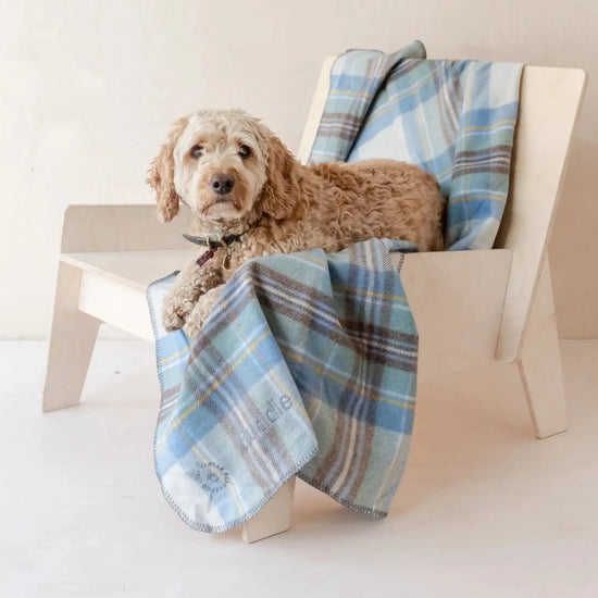 Recycled Wool Pet Blankets