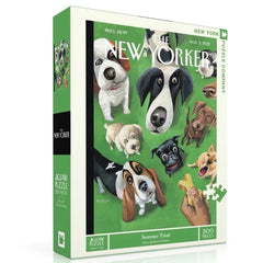 Summer Treat Puzzle